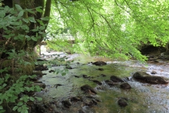 1. Downstream from Larcombe Foot (2)