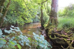 1. Downstream from Larcombe Foot (20)