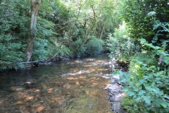 1. Downstream from Larcombe Foot (21)