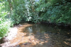1. Downstream from Larcombe Foot (22)