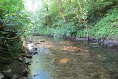 1. Downstream from Larcombe Foot (23)