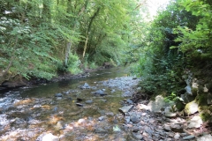 1. Downstream from Larcombe Foot (24)
