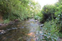 1. Downstream from Larcombe Foot (25)