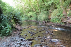 1. Downstream from Larcombe Foot (26)