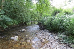 1. Downstream from Larcombe Foot (27)