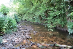 1. Downstream from Larcombe Foot (28)