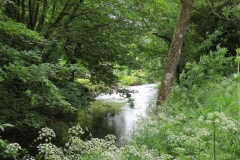 1. Downstream from Larcombe Foot (3)