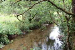 1. Downstream from Larcombe Foot (4)