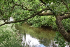 1. Downstream from Larcombe Foot (5)