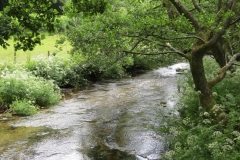 1. Downstream from Larcombe Foot (6)