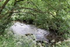1. Downstream from Larcombe Foot (7)