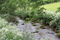 1. Downstream from Larcombe Foot (8)