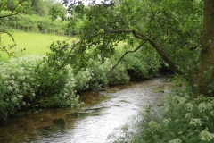 1. Downstream from Larcombe Foot (9)