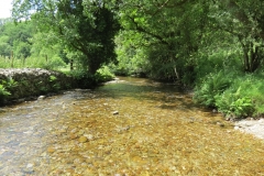 10. Looking downstream from ford A
