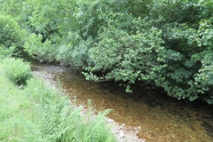 12. Upstream from Ford B (1)