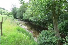 12. Upstream from Ford B (10)