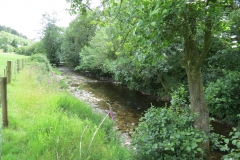 12. Upstream from Ford B (10)
