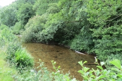 12. Upstream from Ford B (2)