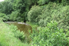 12. Upstream from Ford B (3)