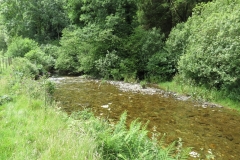 12. Upstream from Ford B (4)