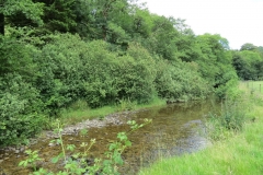 12. Upstream from Ford B (5)