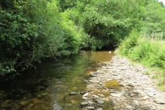 12. Upstream from Ford B (7)