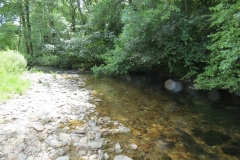 12. Upstream from Ford B (8)