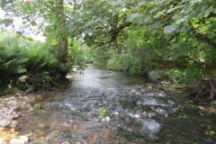 12. Upstream from Ford B (9)