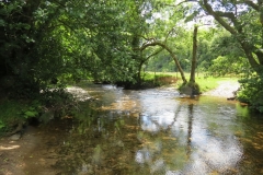 14. Looking upstream from Ford B