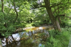 15. Downstream from Ford B (2)