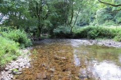 15. Downstream from Ford B (3)
