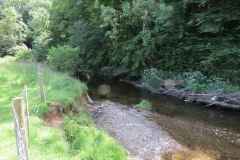 16. Upstream from Vicarage Bridge (1)