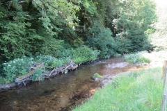 16. Upstream from Vicarage Bridge (2)