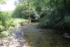 16. Upstream from Vicarage Bridge (4)