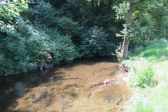 17. Upstream from Vicarage Bridge (2)