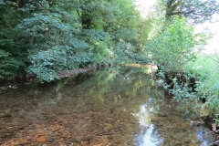 17. Upstream from Vicarage Bridge (3)