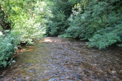 17. Upstream from Vicarage Bridge (4)