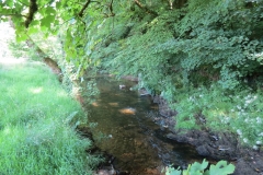 17. Upstream from Vicarage Bridge (5)