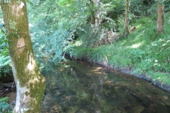 17. Upstream from Vicarage Bridge (6)