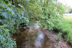 19. Upstream from Vicarage Bridge (1)