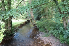 19. Upstream from Vicarage Bridge (2)