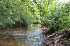 2. Upstream from Footbridge