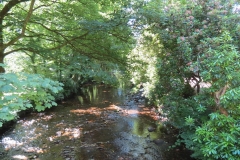 20. Upstream from Packhorse Bridge