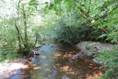 4. Looking upstream from footbridge
