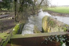 28.-Looking-downstream-from-Mill-Stream-Sluice-Bridge-B