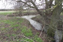 37.-Mill-Stream-Outlet-to-River-Brue