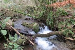 1. Downstream from Liscombe Lower Road (1)