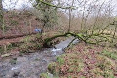 1. Downstream from Liscombe Lower Road (10)