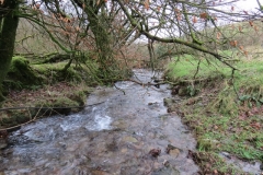 1. Downstream from Liscombe Lower Road (11)