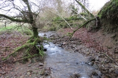 1. Downstream from Liscombe Lower Road (3)